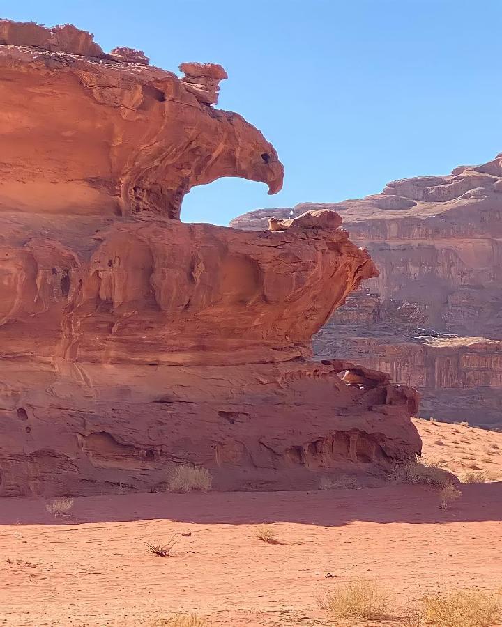 Rum Angel Wadi Rum Exterior foto